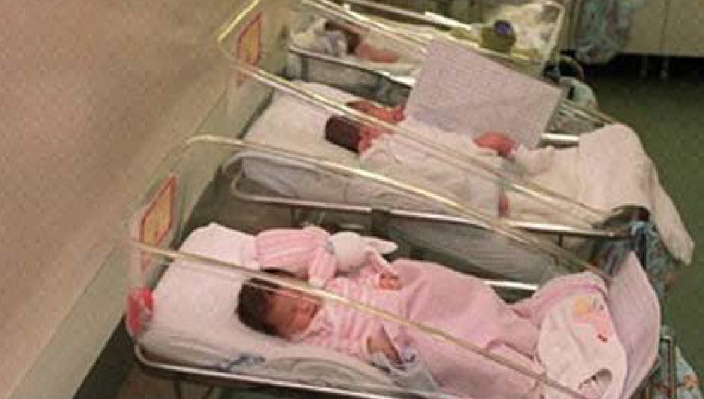 Bebés recién nacidos