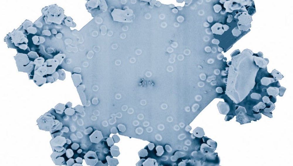 Cristal de nieve visto al microscopio