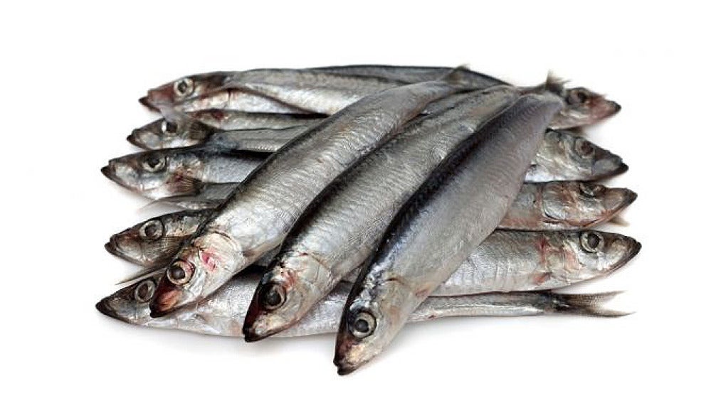 Anchoas