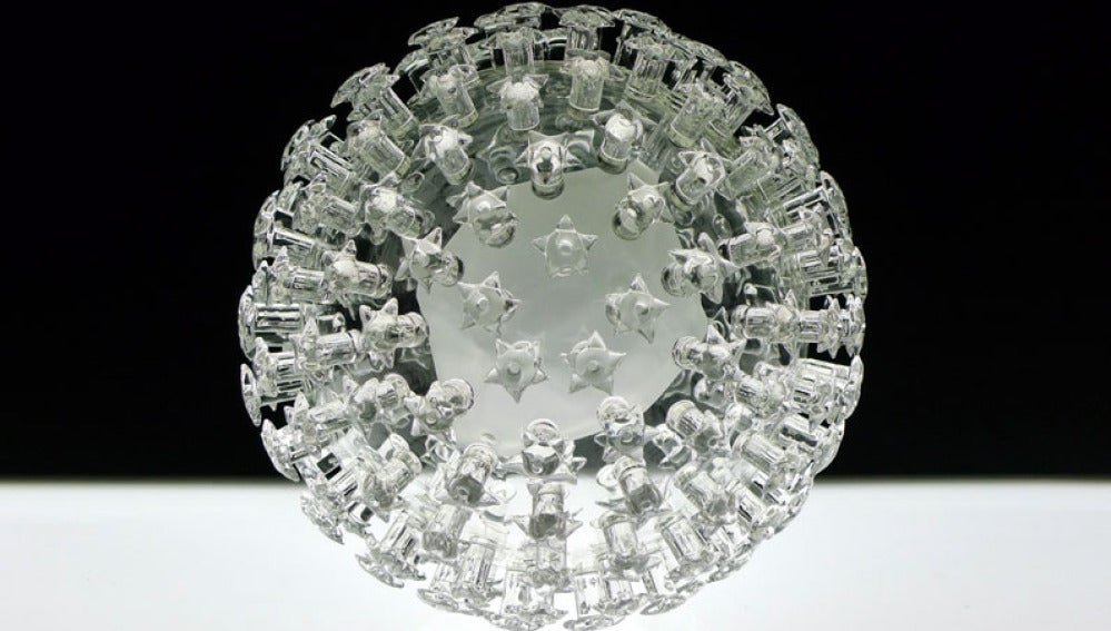 Virus del papiloma humano