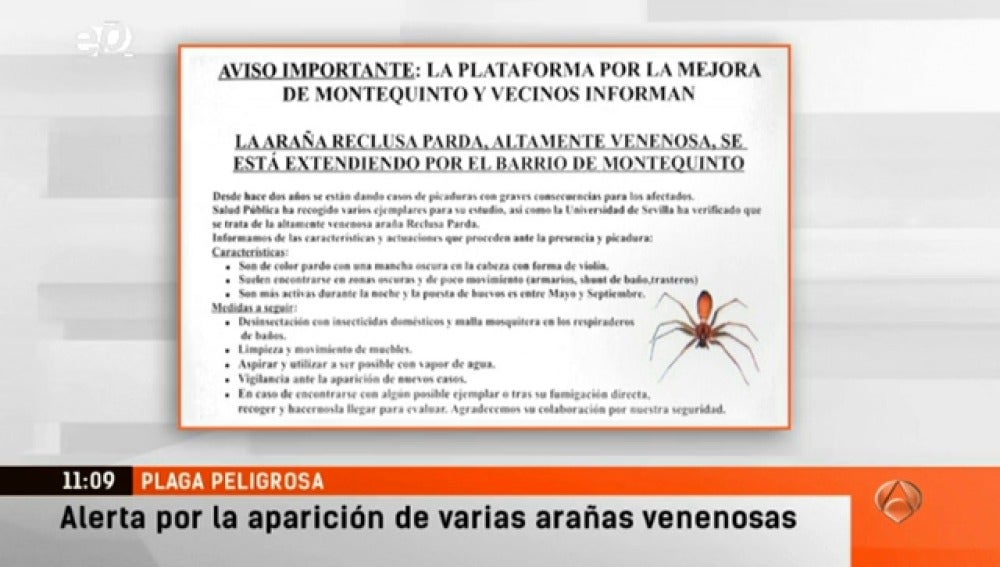 La máscara la persona de hombre negro