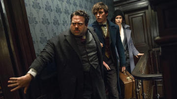 Descubre qué mago, o muggle, serías Descubre qué mago, o muggle, serías