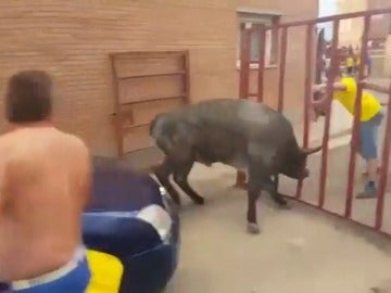 Frame 15.087522 de: Una niña de seis años, corneada por un novillo en un encierro Frame 15.087522 de: Una niña de seis años, corneada por un novillo en un encierro