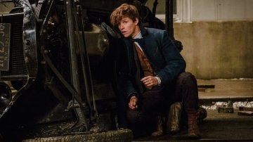 Eddie Redmayne como Newt Scamander Eddie Redmayne como Newt Scamander