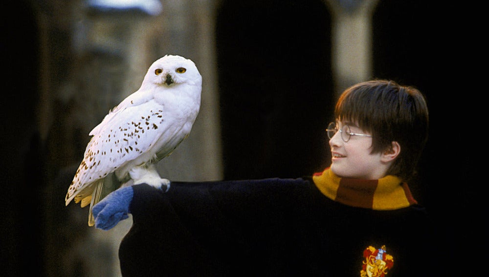 Fotograma de 'Harry Potter'