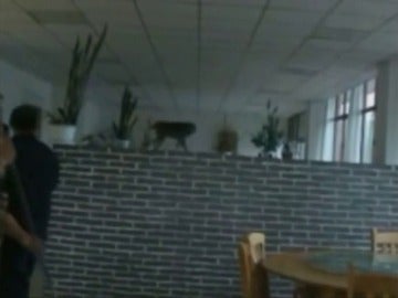 Frame 11.415407 de: La policía captura un mono salvaje dentro de un restaurante en China