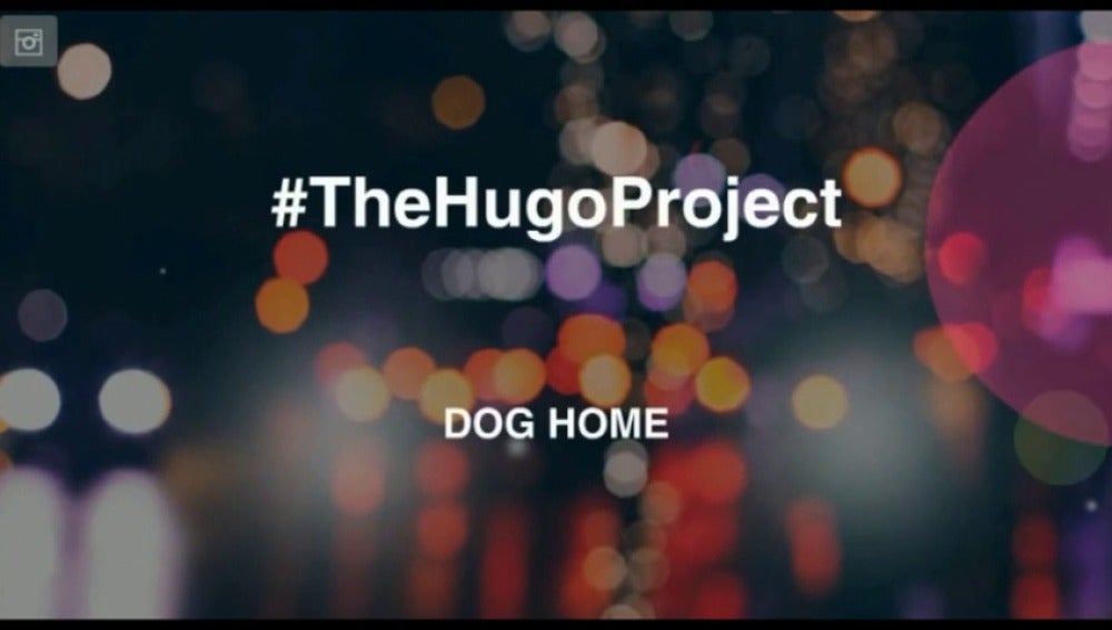 Dog Home, un espacio de acogida y cooperación para perros