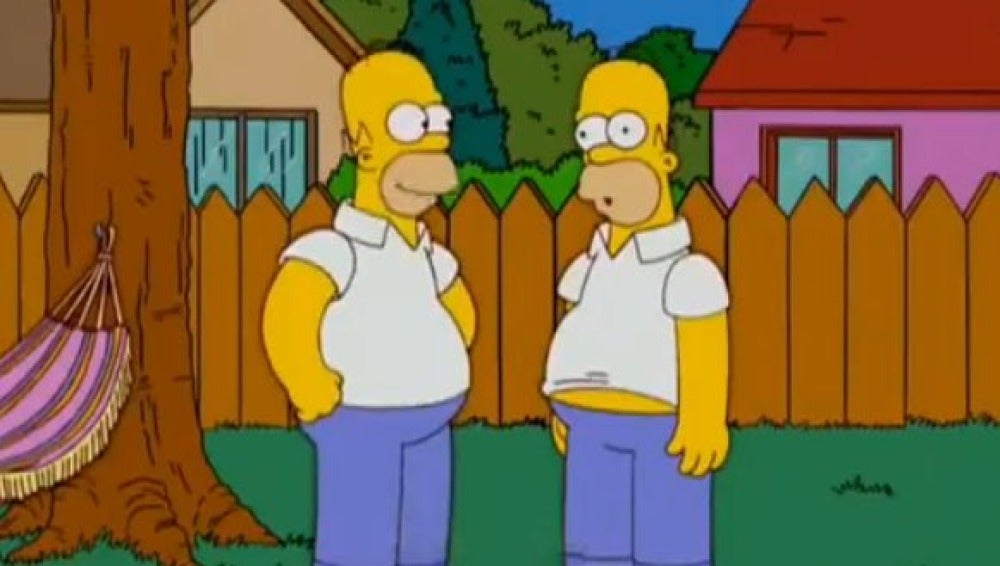 Homer Simpson y su doble