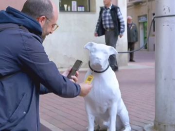 Barcelona promueve la adopción de animales de compañía abandonados con perros de hormigón 'abandonados' en la ciudad Barcelona promueve la adopción de animales de compañía abandonados con perros de hormigón 'abandonados' en la ciudad