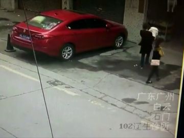 Una niña recibe un golpe  al caerle un perro en la cabeza