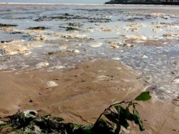 Cierran la playa de San Lorenzo por contener aguas residuales Cierran la playa de San Lorenzo por contener aguas residuales