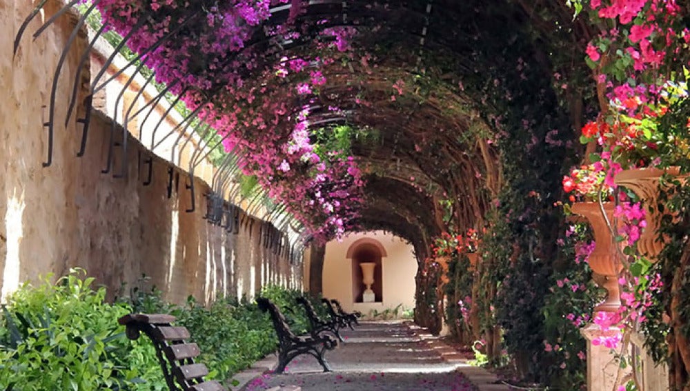 Paseo floreado en Valencia.