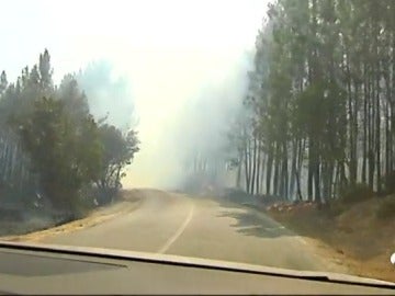 INCENDIO PORTUGAL INCENDIO PORTUGAL