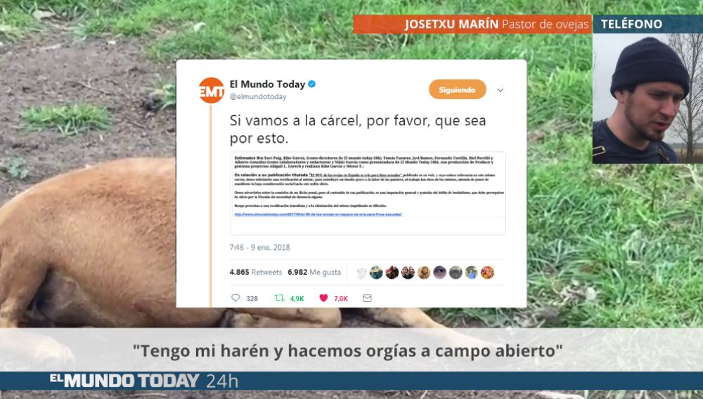 ovejamundo22.png