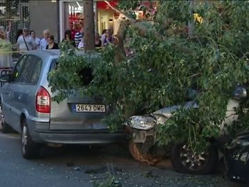 Aparatoso accidente en Barcelona tras perder el control de su coche y embestir varios vehículos Aparatoso accidente en Barcelona tras perder el control de su coche y embestir varios vehículos