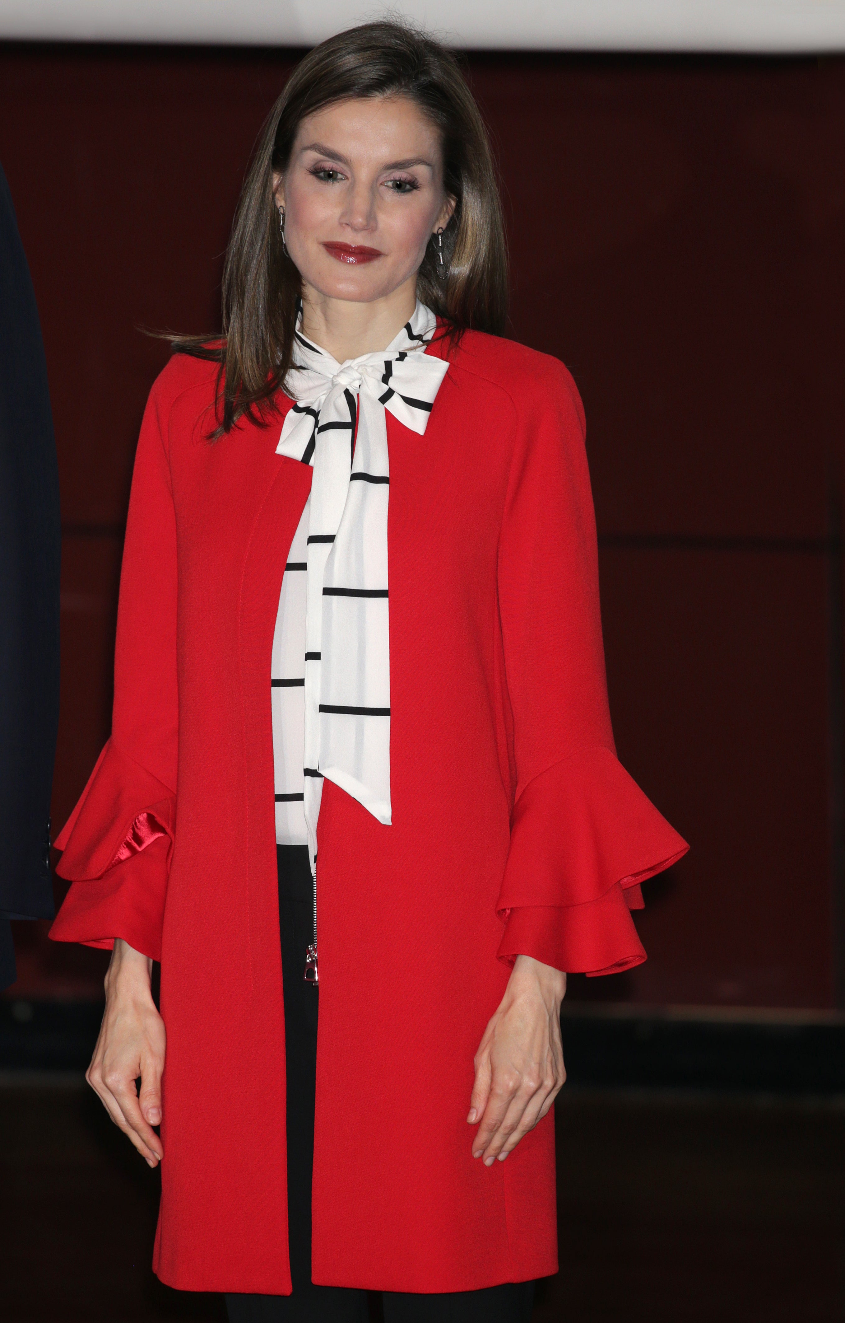 Falda Plisada Zara Letizia Falda Plisada Zara Letizia