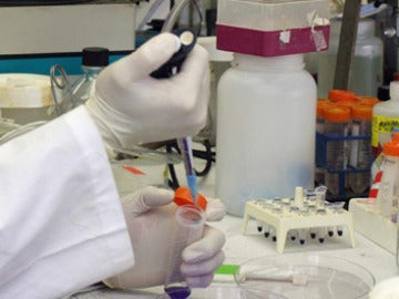 Trabajo a partir de muestras de ADN Trabajo a partir de muestras de ADN