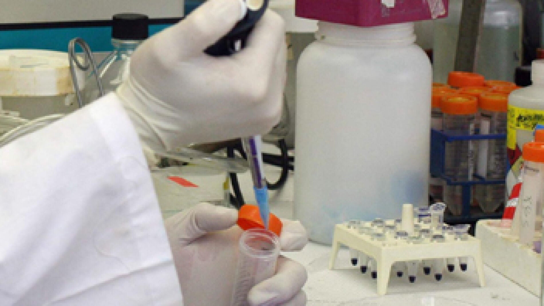 Trabajo a partir de muestras de ADN