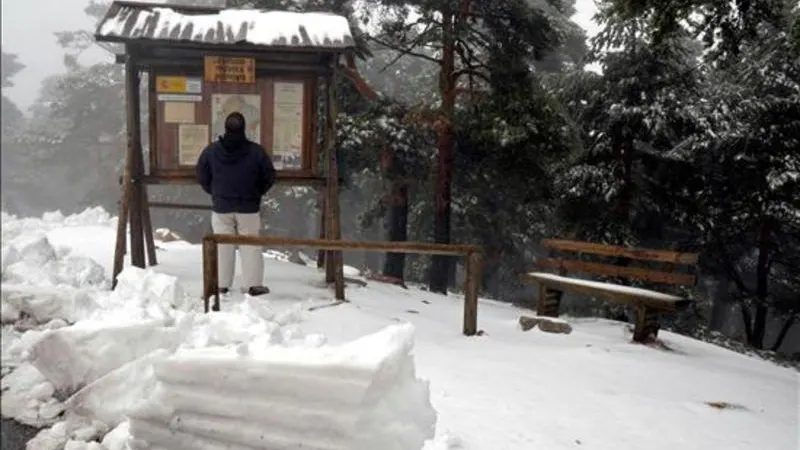 Nieve Navacerrada (EFE) Nieve Navacerrada (EFE)
