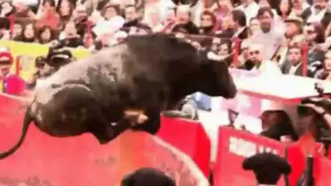 El vuelo de 'Pajarito' El vuelo de 'Pajarito'