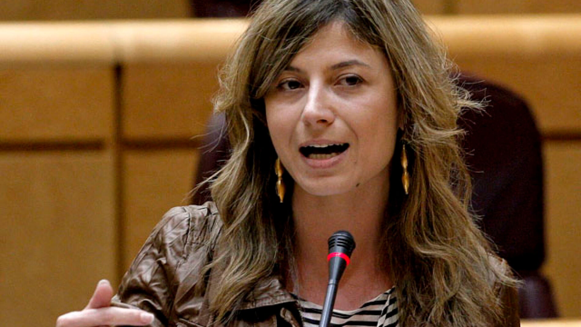 A&iacute;do, contra los anuncios de contactos