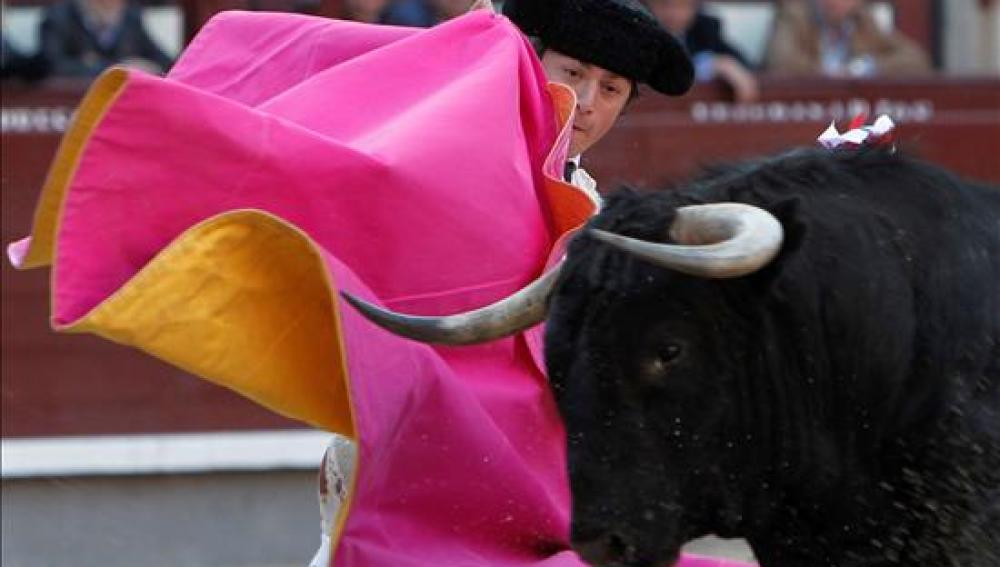 Nace el primer toro español clonado