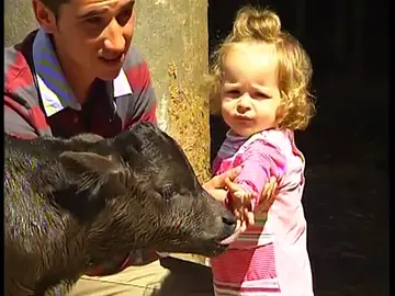 Got, el toro clonado Got, el toro clonado