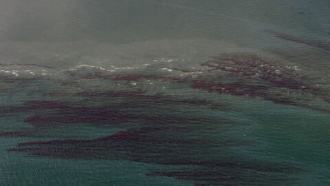 Vertido de crudo en el Golfo de M&eacute;xico