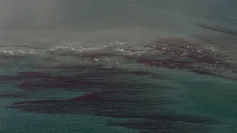 Vertido de crudo en el Golfo de México Vertido de crudo en el Golfo de México
