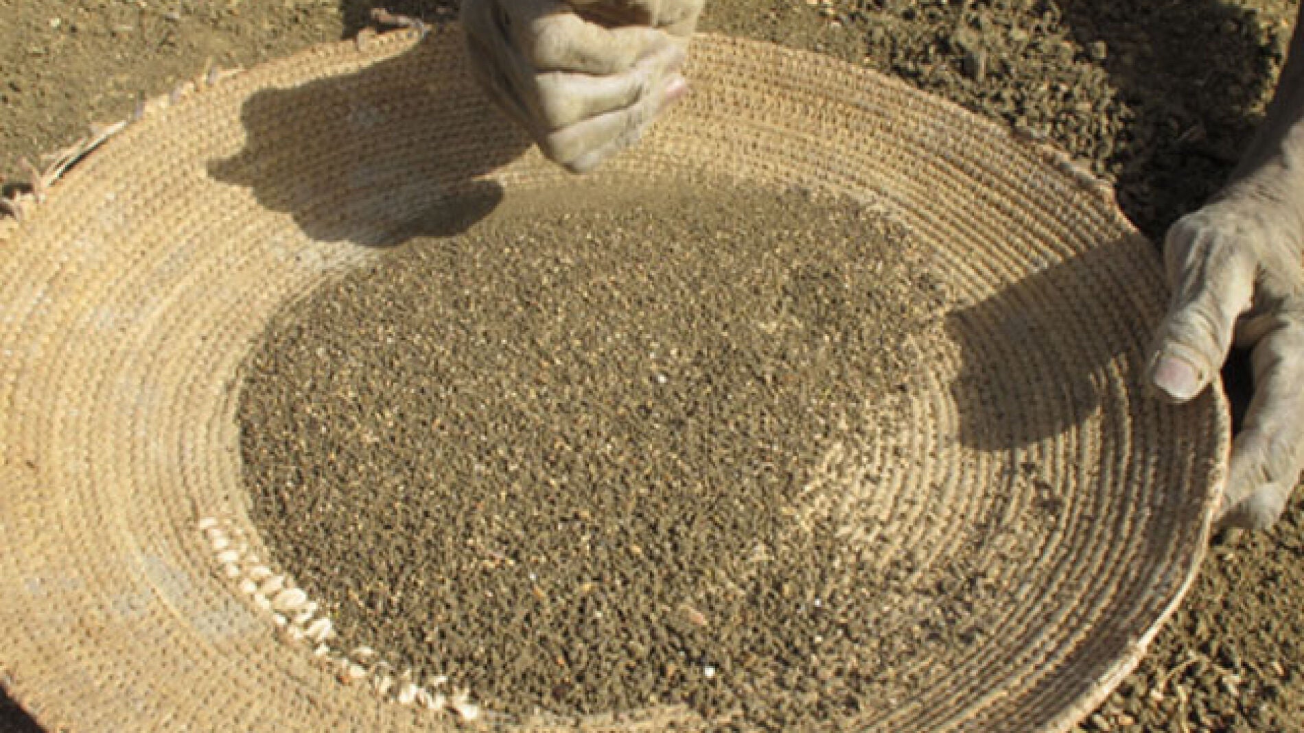 Crisis alimentaria en Chad