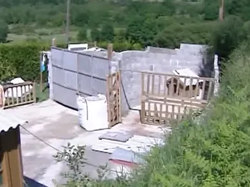 Ahorcó al pitbull que mató a su nieto Ahorcó al pitbull que mató a su nieto