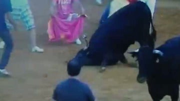 Polémica muerte de una vaquilla en Alhaurín el Grande
