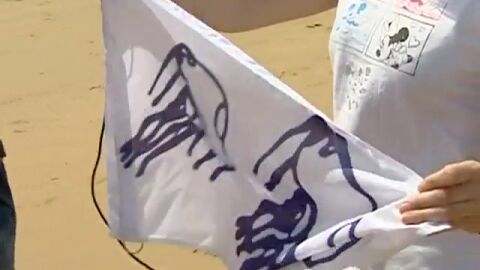 Bandera para medusas