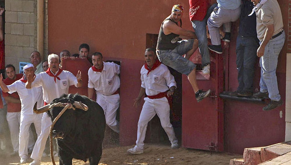 Dos heridos en el Toro Enmaromado de Benavente