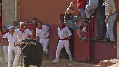 Heridos por el toro enmaromado