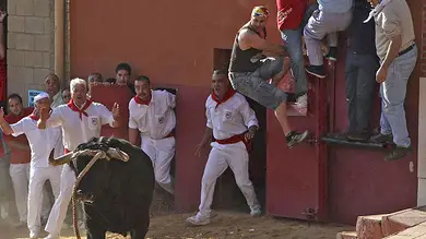 Heridos por el toro enmaromado Heridos por el toro enmaromado