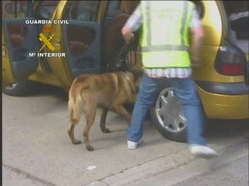 Un perro busca droga en el interior de un vehículo Un perro busca droga en el interior de un vehículo