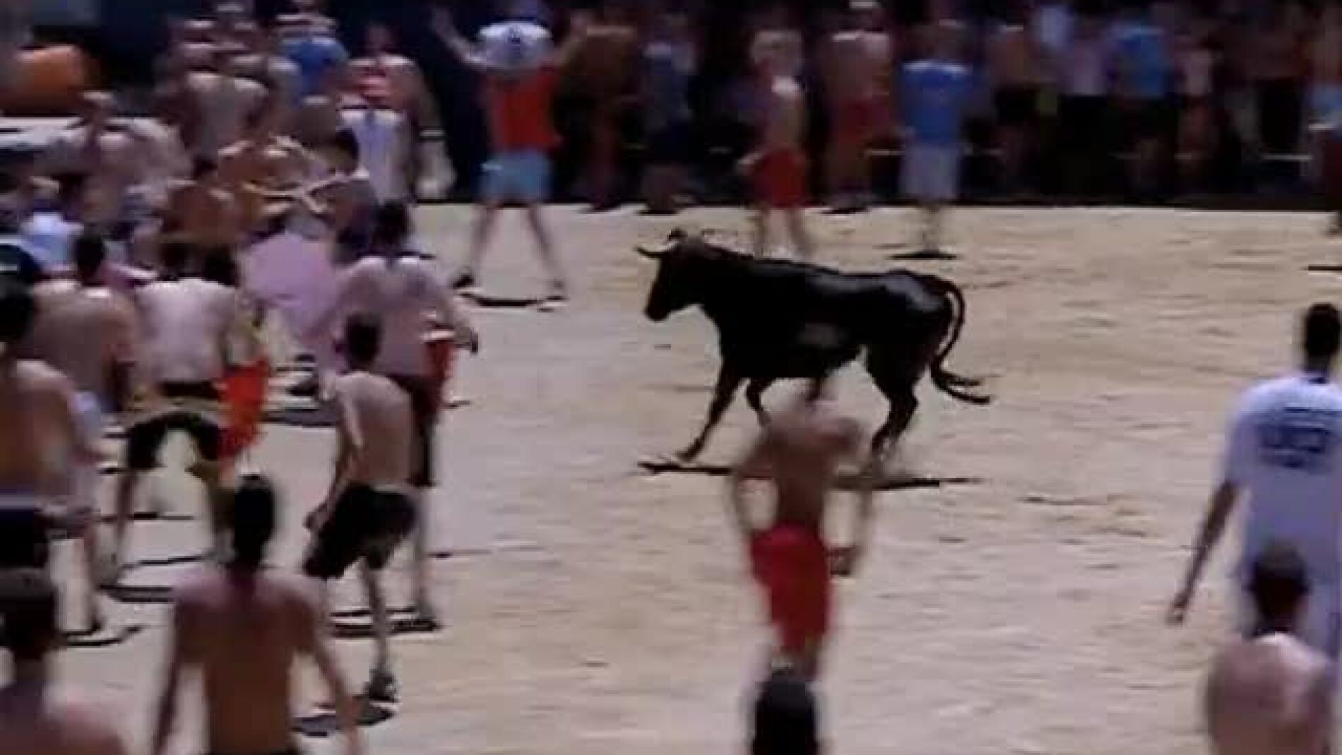 M&aacute;s seguridad en los 'bous al carrer'