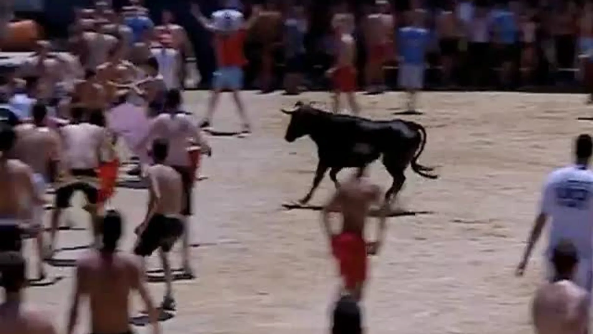 Más seguridad en los 'bous al carrer' Más seguridad en los 'bous al carrer'