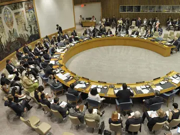 Consejo de Seguridad de la ONU Consejo de Seguridad de la ONU