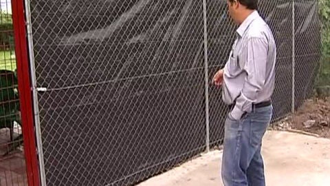 Podr&iacute;a quedarse ciego tras el ataque de un boxer 