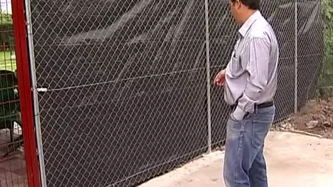 Podría quedarse ciego tras el ataque de un boxer Podría quedarse ciego tras el ataque de un boxer