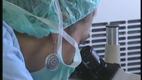 Crean un h&iacute;gado artificial