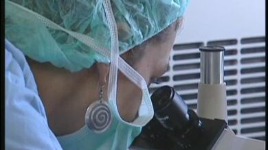 Consiguen fabricar un hígado artificial en Estados Unidos