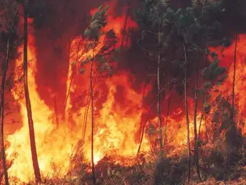 Incendio Incendio