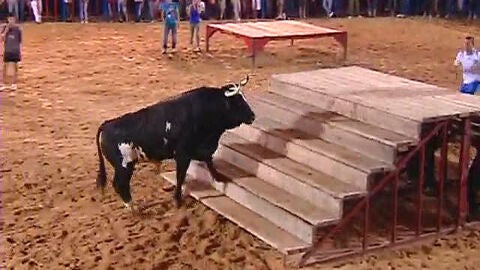 Rat&oacute;n, un toro muy cotizado