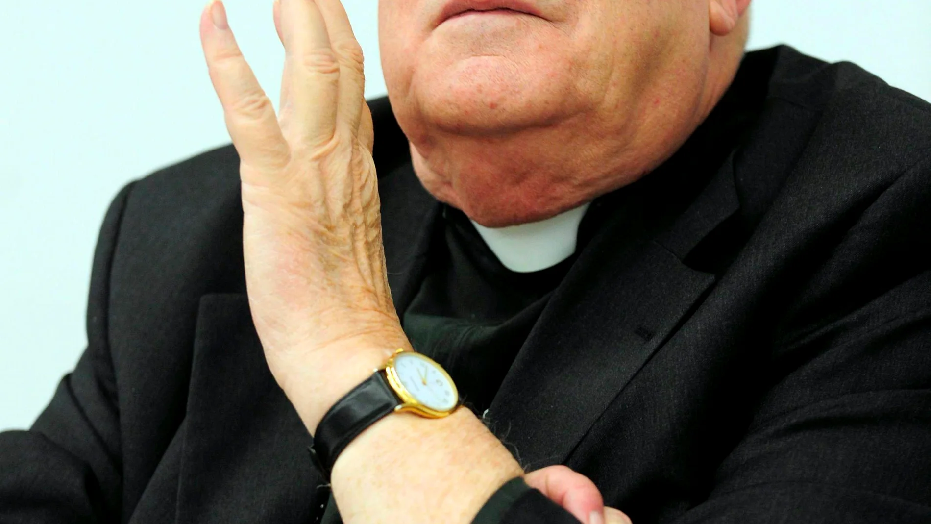 El cardenal Godfried Danneels El cardenal Godfried Danneels