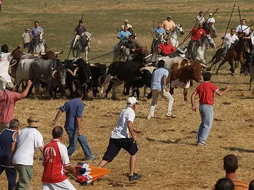Los encierros son típicos en las fiestas patronales Los encierros son típicos en las fiestas patronales