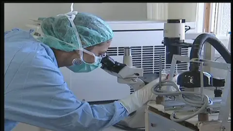 Un paso importante hacia la vacuna contra el Sida Un paso importante hacia la vacuna contra el Sida