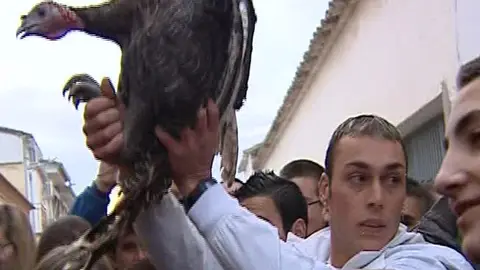 Multa por lanzar a una pava desde un campanario Multa por lanzar a una pava desde un campanario